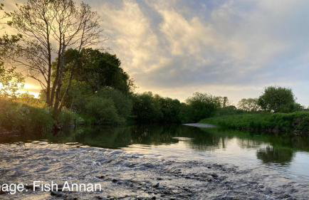 Stable Cottage - Foto 18