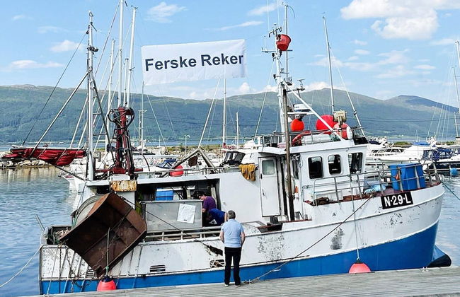 4 Star Holiday Home in Vikholmen - Foto 31