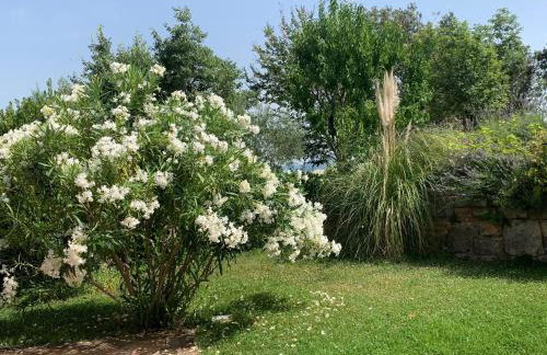 Villa Malini with Pool, Sauna and Fenced Garden - Foto 33