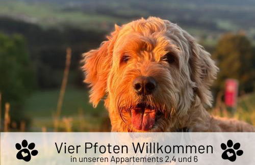 Hoimat Pfronten - Luxusappartements mit Sauna und Bergblick - Foto 7