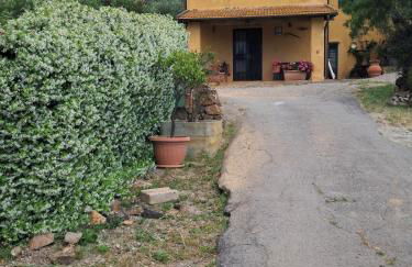 La Ghiandaia - Foto 39