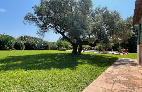 Le Petit Domaine - Foto 6