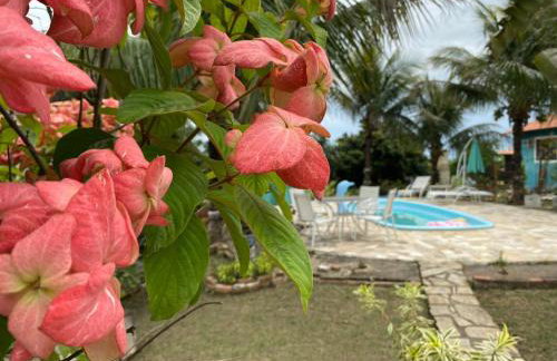 Hospedagem Recanto das Orquideas - Photo 77