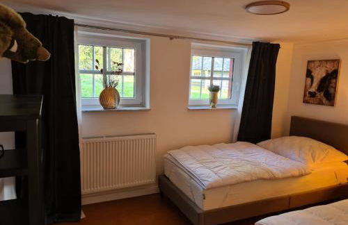 Gruppenhaus mit Grillkota für 16 Personen in Hahnenklee - Foto 34