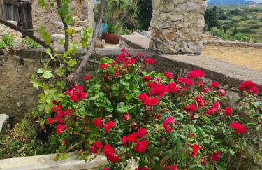 Kamaraki Aroniadika - Foto 13