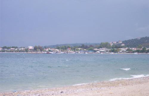 Irene Studios - Foto 43