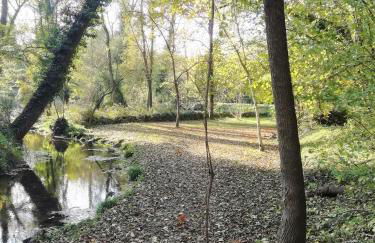 Apartament Natura amb Calma - Foto 20