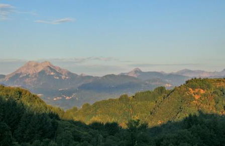 Villa Pavone - Foto 19