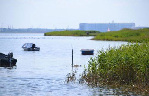 Appartementanlage Zur Seemöwe - Foto 46