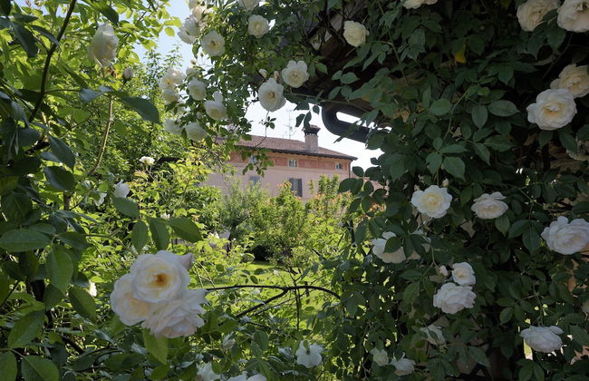 B&B & Residence Corte Bebbi - Foto 52