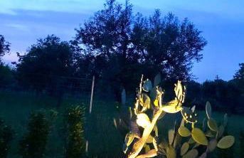 Trulli Storie di Puglia - Private Pool - Foto 48