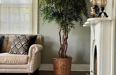 Agatha's Historic Home Free Parking Wi-Fi Deck - Photo 13