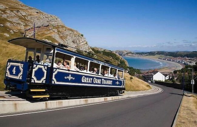 Superb Cintra Apartments - Foto 20