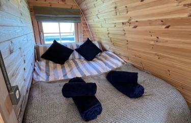 The Pod Patch - Trelerney Pod - Foto 18