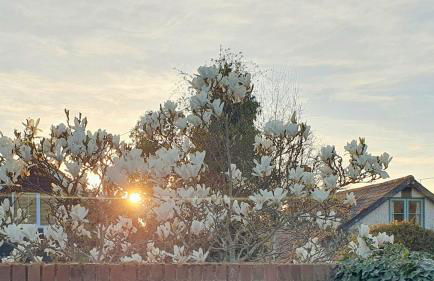 Island Retreat with HotTub - Foto 46