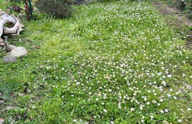 Appartement au bord de mer - Foto 24