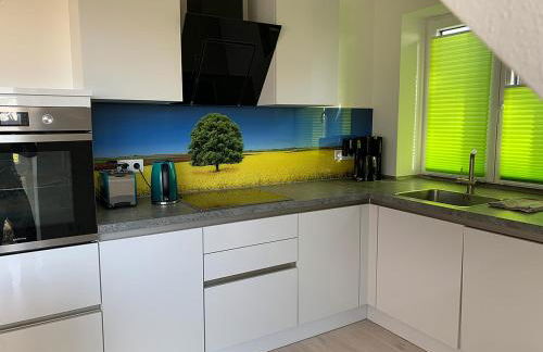 Vogelzug, Ferienwohnung für 4 Persoen - Erwachsene oder Kinder - in DE FEERJENHUSEN am Haubarg von Vollerwiek, Fertigstellung April 2020 - Foto 13