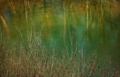 Fully Furnished Cabin Rental with Fire Pit near Cherokee National Forest - Foto 9