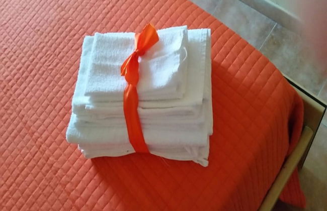 L Agave e la Palma Nana - Foto 3