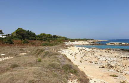 dal tramonto all'alba in Salento - Foto 39