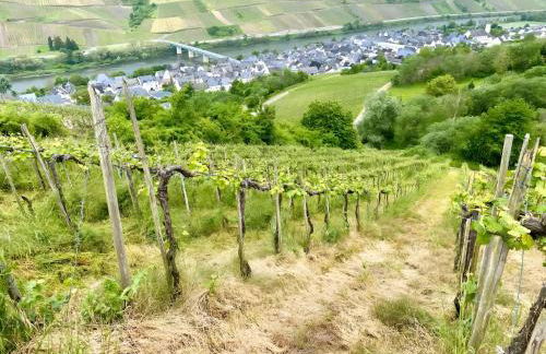 Ferienwohnung Weingeist - Foto 22