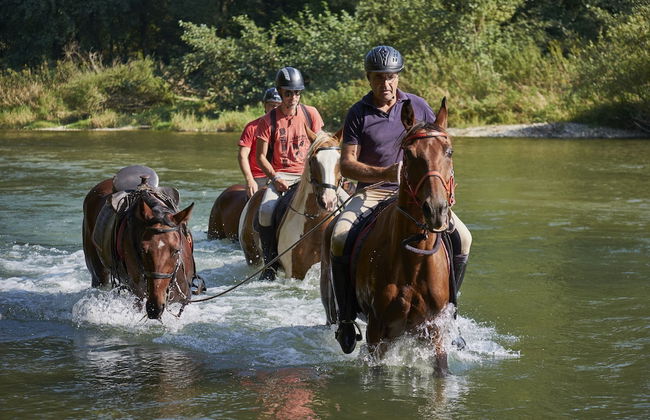 Holiday House Podhamer Marijan - Foto 50