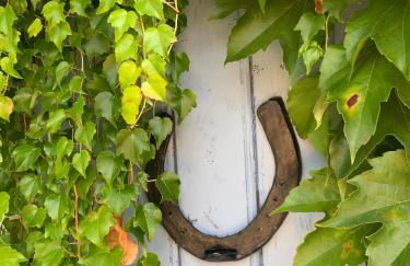 La Forge, Lieu des Chevilloux - Foto 18