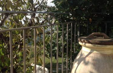 Agriturismo da Luì - Foto 4