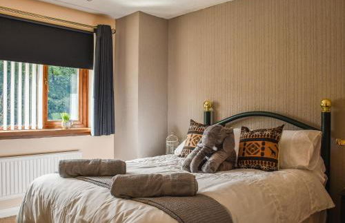 Zebra House - Foto 18