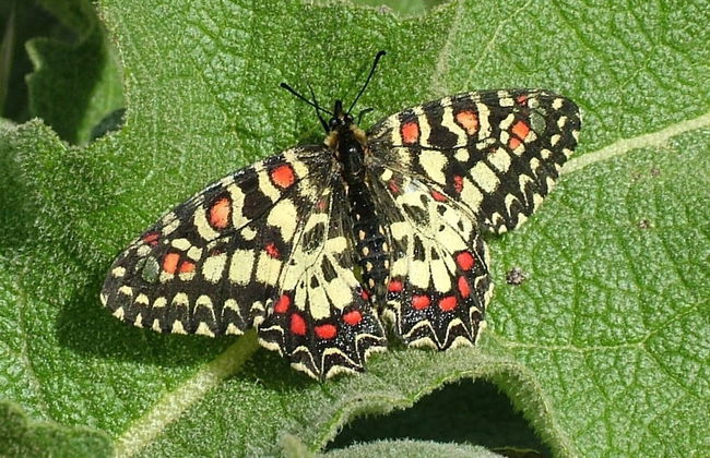 Casa Do Forno - Quinta Amoreira - Foto 18