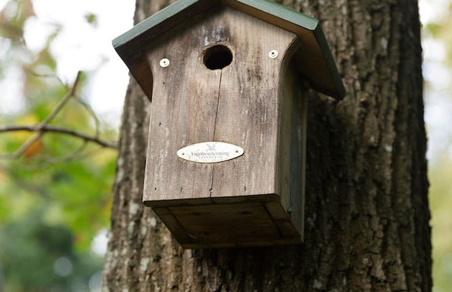 Vrijrijck Vakantieparken – Ermelo - Photo 21