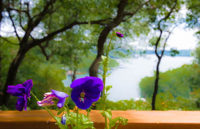 Beaver Lake Cottages - Foto 54