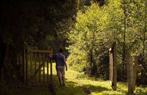 Alugo minha casa na floresta! - Foto 23