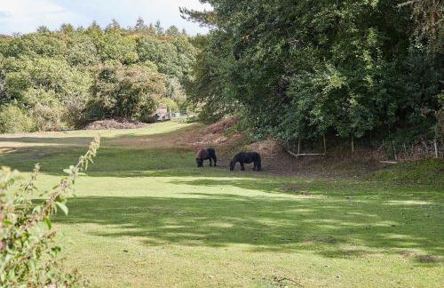 Host & Stay - The Station Cottage - Foto 24