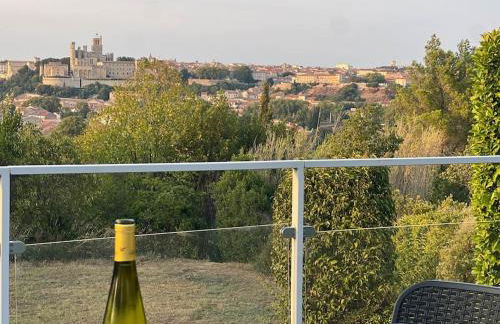 9 écluses Canal du midi-Maison T3 belle vue avec Piscine - Photo 9