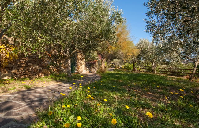 Piccola Oasi 8 - Foto 34