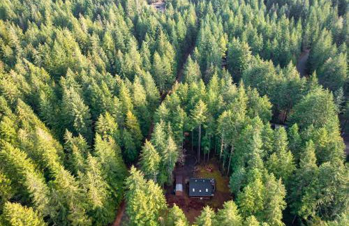 The Harold, Forested retreat with firepit - Foto 29