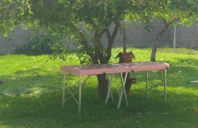 Villa Flor e Cor - Foto 25