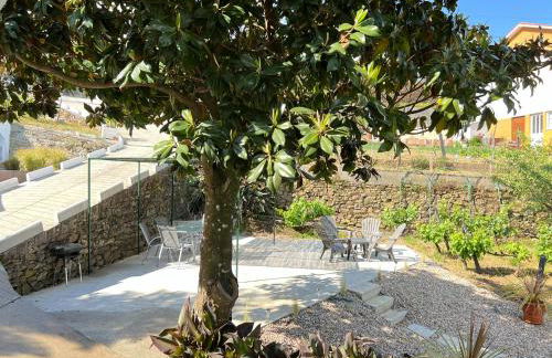 Villa Samaritana - Casa da Vinha - Photo 7