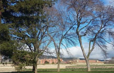 Apartamento Vuelta del Castillo - Photo 24