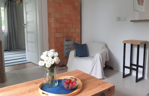 Dom na Suwalszczyźnie - Foto 8