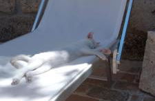 azienda agrituristica la torretta - Foto 21