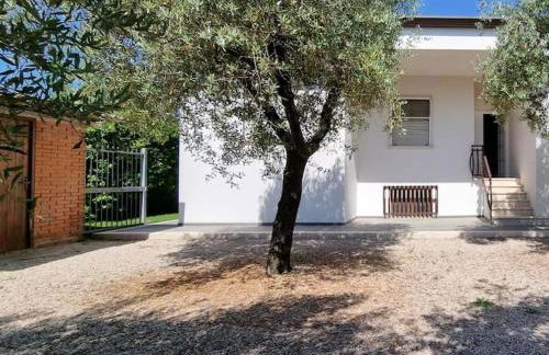 Villa degli Ulivi a pochi passi dal mare - Foto 48