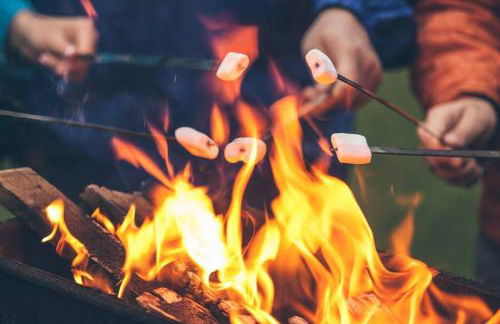 Lakeview Escape Kayaks - Foto 27