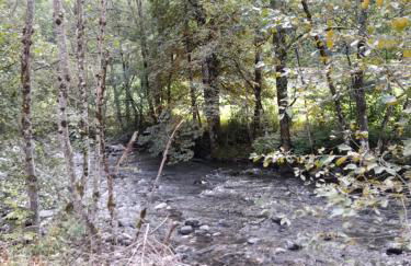 Le Ratty appartement 6 personnes - Foto 33