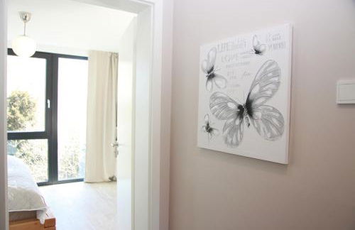 Meeresstern - Photo 24