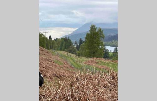 Coorie Doon Cabin! Great Scottish Welcome - Photo 18