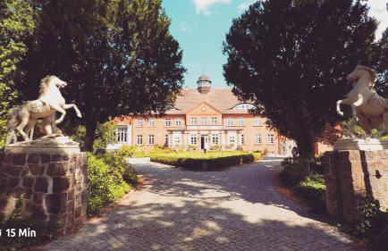 Ferienhaus SeeWaldMeer am Pinnower See bei Schwerin - Foto 30