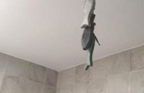 Chalet adosado playa de La Barrosa - Foto 21