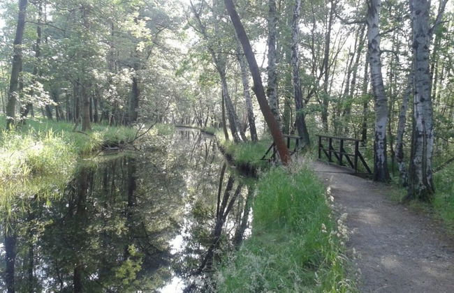 Holiday Apartment in the old Brewery - Foto 7